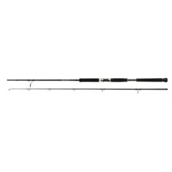 Spinning Rod Shimano Beastmaster Pilk 40-95g