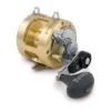 Reel Shimano Tiagra A 50 2 Reel Shimano Tiagra A 50 -Shimano Fishing shimano ti50wlrsa